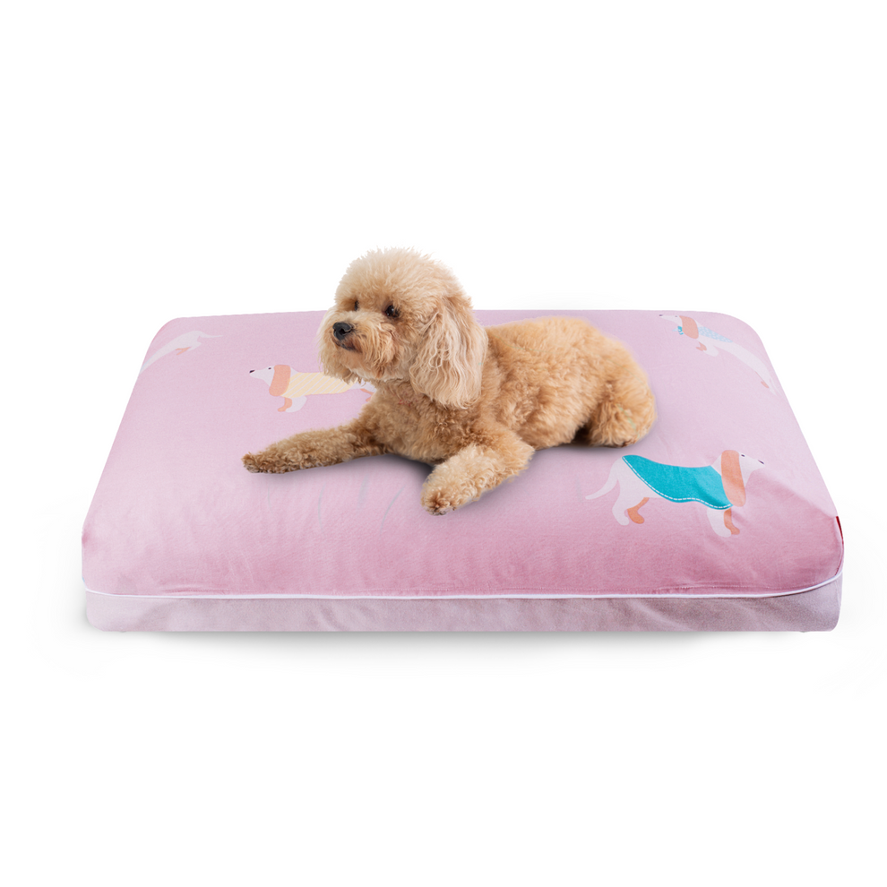 DreamCastle Cooling Dog Bed | For puppies to medium sized breed | Roul ...