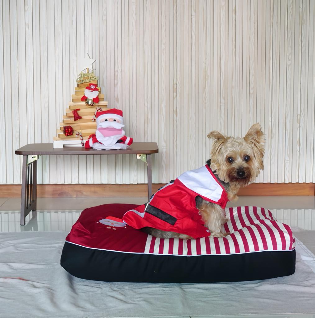 Christmas Dog Bed for puppies and medium sized dog