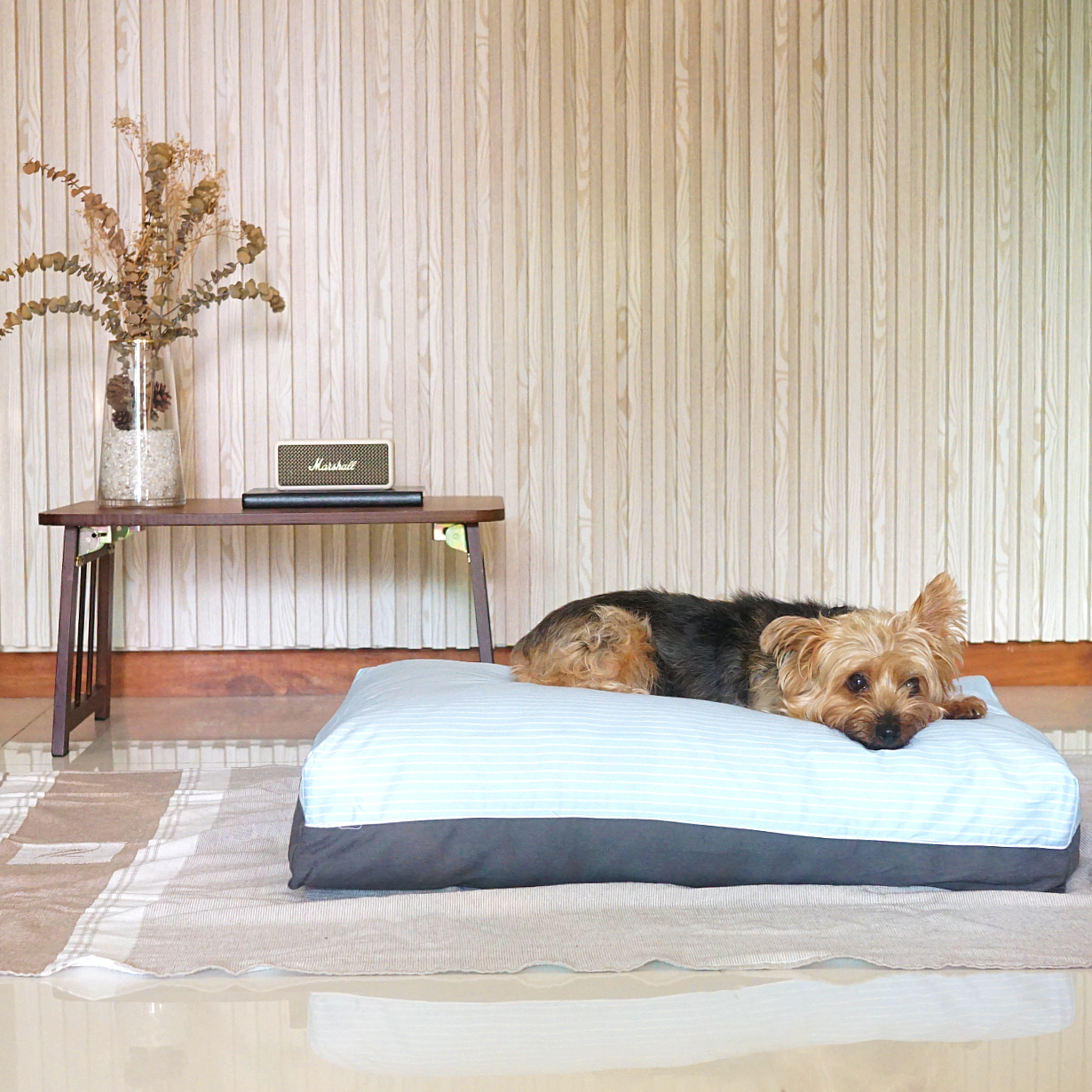 Sky Dreamcastle Cooling Stylish Dog Bed Cover