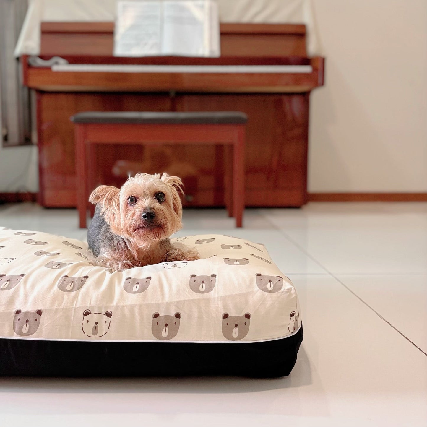 Scandi Bear | DreamCastle Cooling Bed Cover Singapore