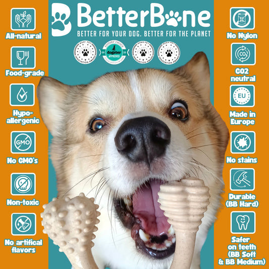 Pawvy Betterbone Beef Chew Toy