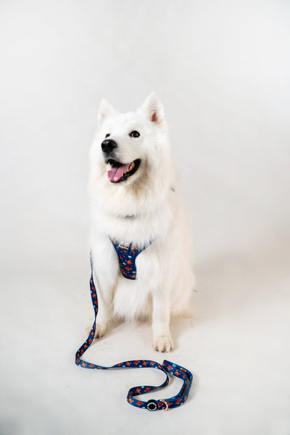 Adjustable Harness || Ang Ku Kueh (Red Tortoise Cake)_Barkefella