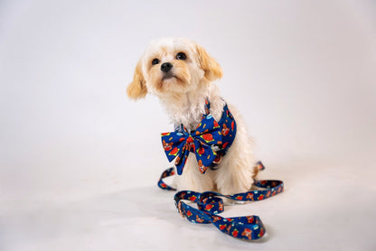 Adjustable Harness || Ang Ku Kueh (Red Tortoise Cake)_Barkefella