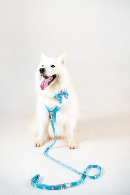 Adjustable Harness || Bubble Tea_Barkefella