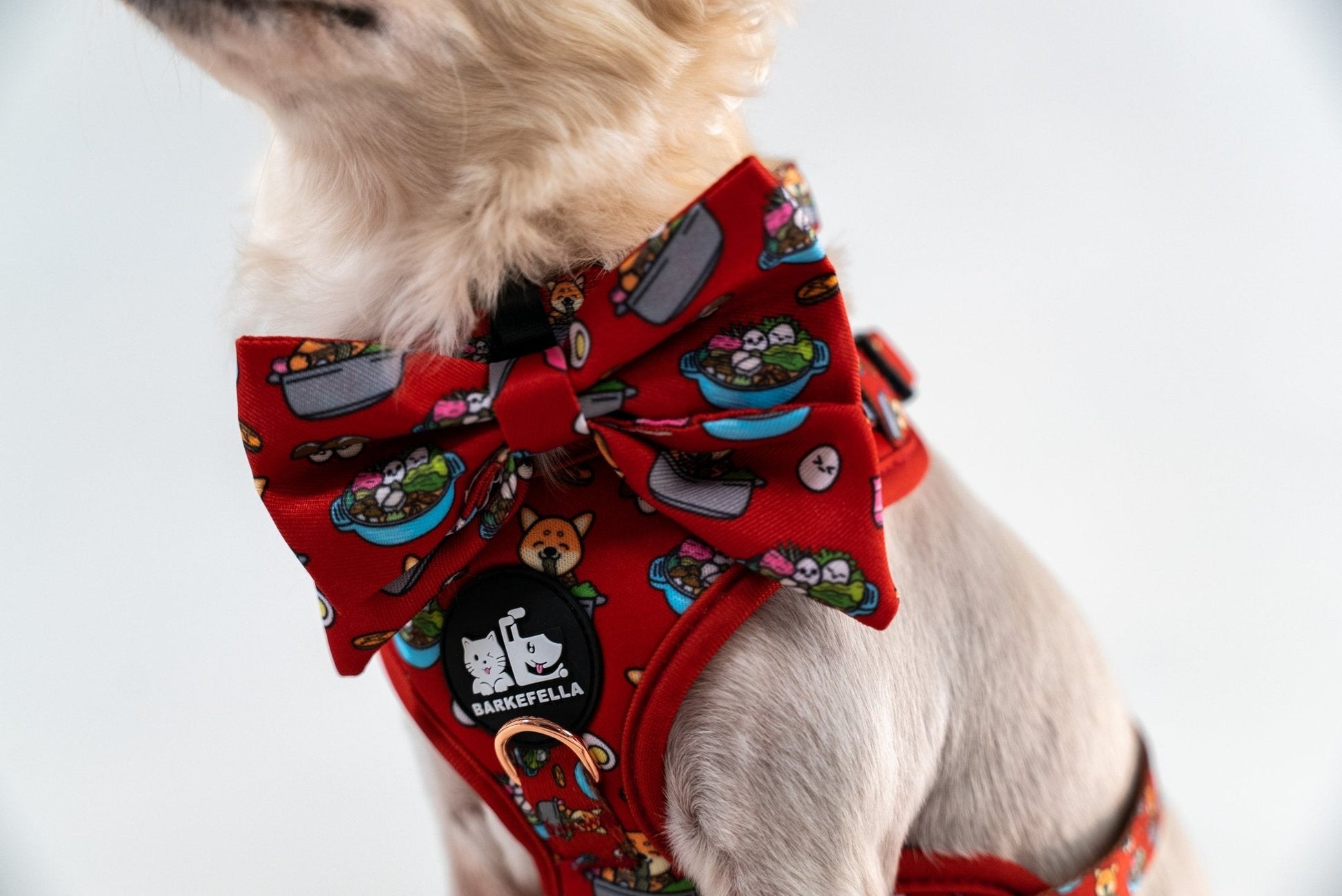 Adjustable Harness || Steamboat_Barkefella