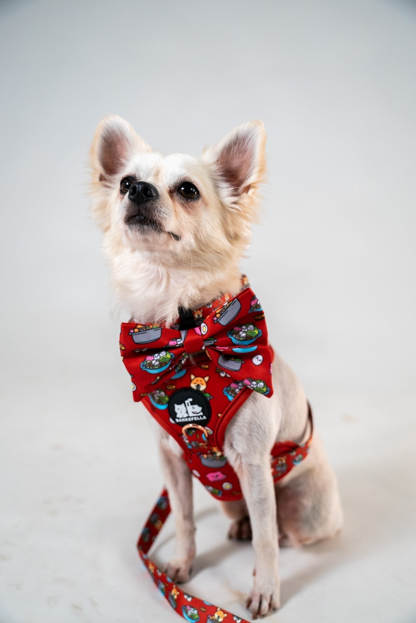 Adjustable Harness || Steamboat_Barkefella