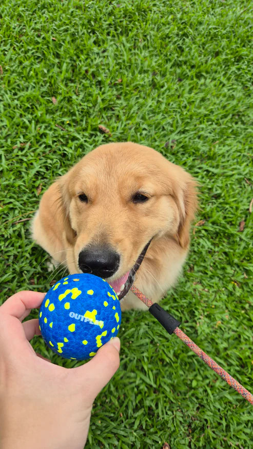 Outplay Ultraflex Ball Dog Toy