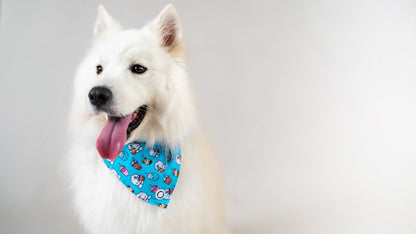 Bandanas || Bubble Tea_Barkefella