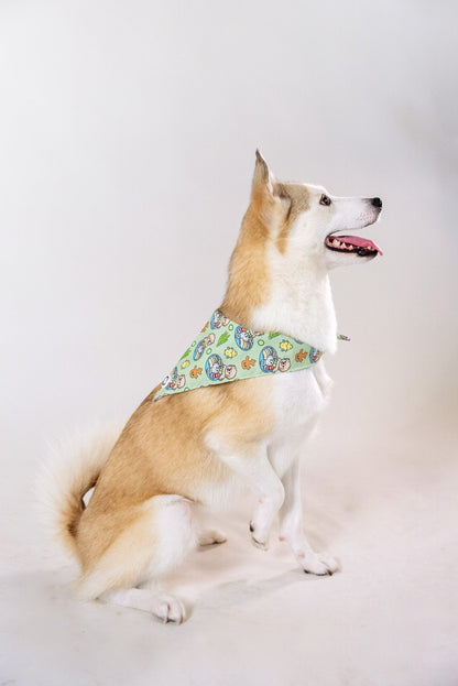 Bandanas || Hainanese Chicken Rice_Barkefella