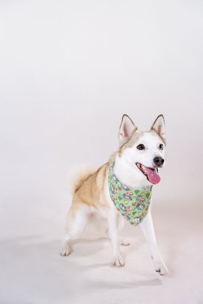 Bandanas || Hainanese Chicken Rice_Barkefella