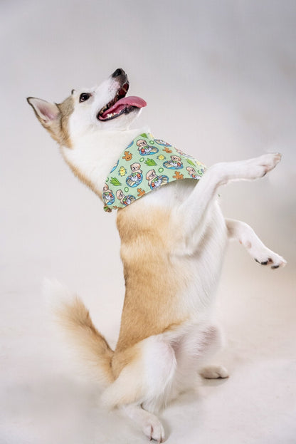 Bandanas || Hainanese Chicken Rice_Barkefella