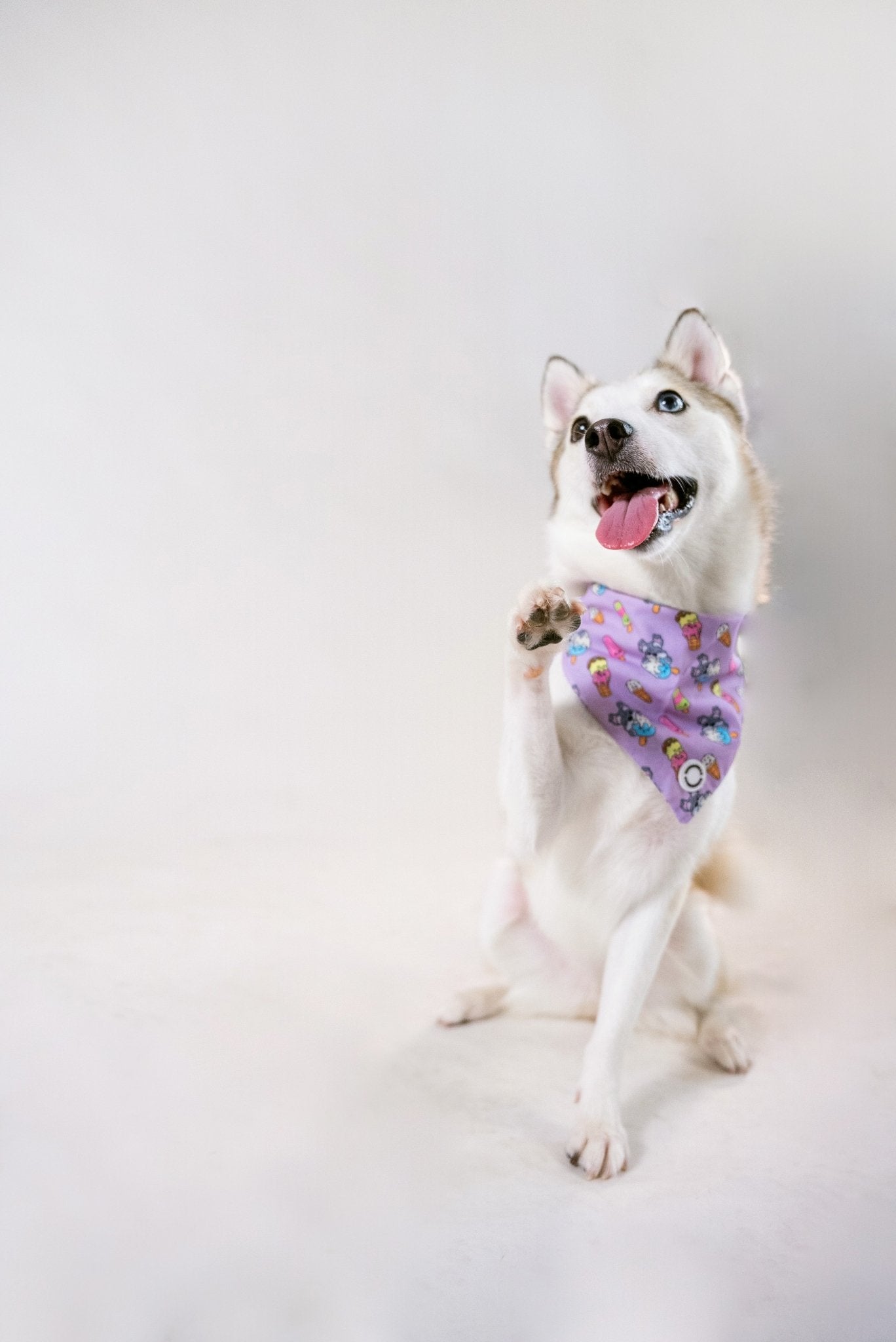 Bandanas || Ice Cream_Barkefella