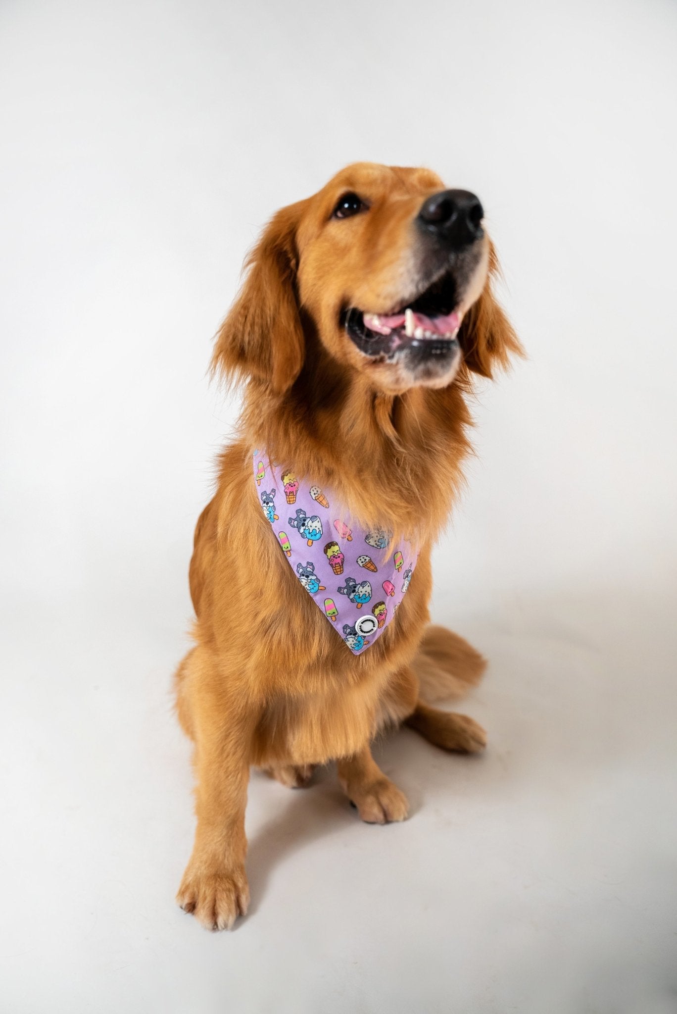 Bandanas || Ice Cream_Barkefella