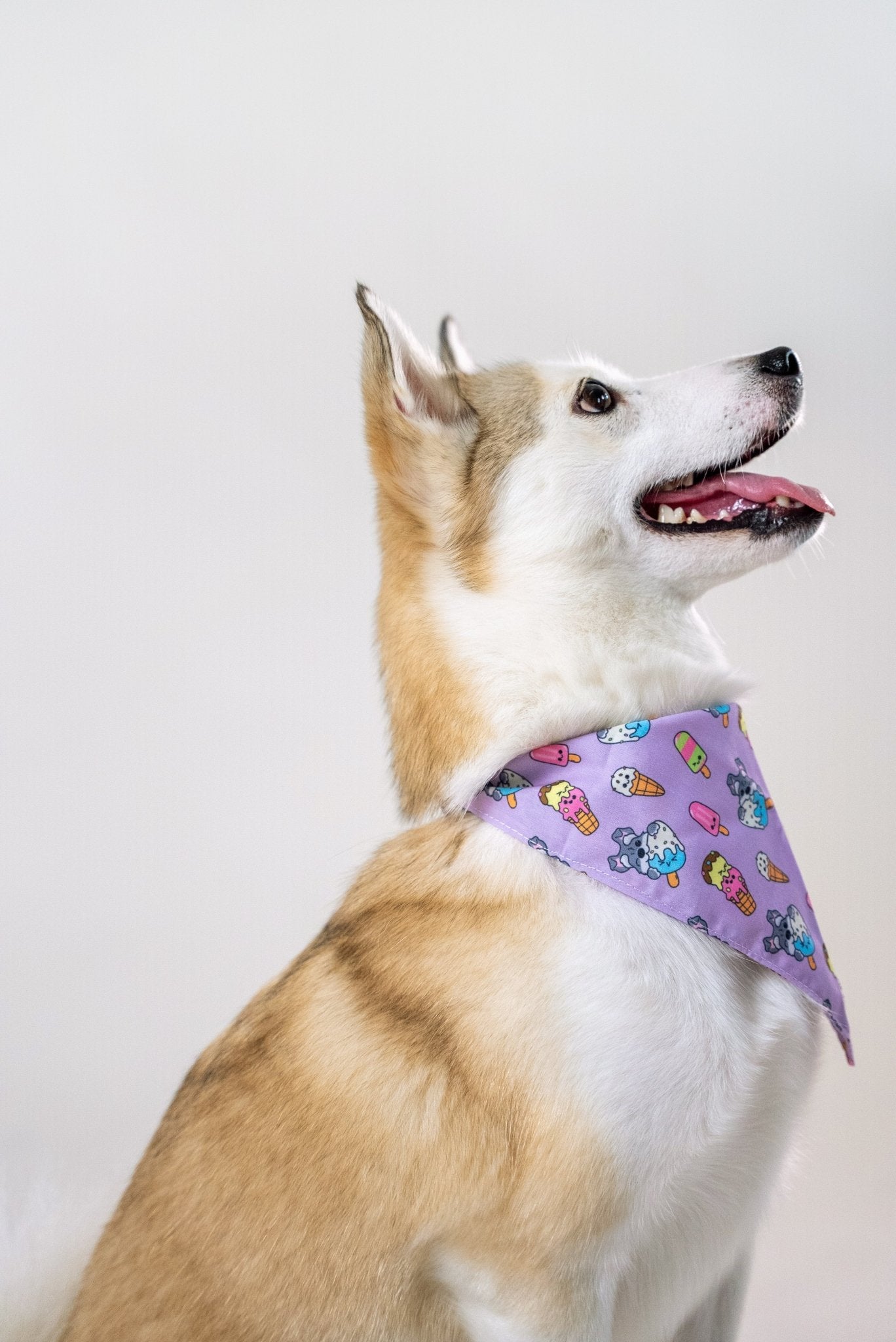 Bandanas || Ice Cream_Barkefella