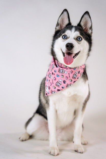 Bandanas || Japanese Sushi_Barkefella