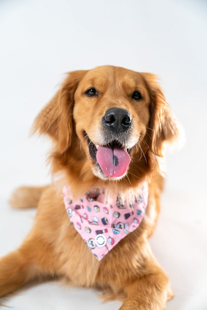 Bandanas || Japanese Sushi_Barkefella