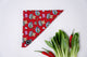 Bandanas || Steamboat_Barkefella
