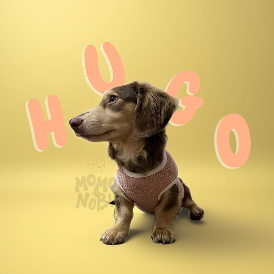 Momo Nobu - Hugo Tank