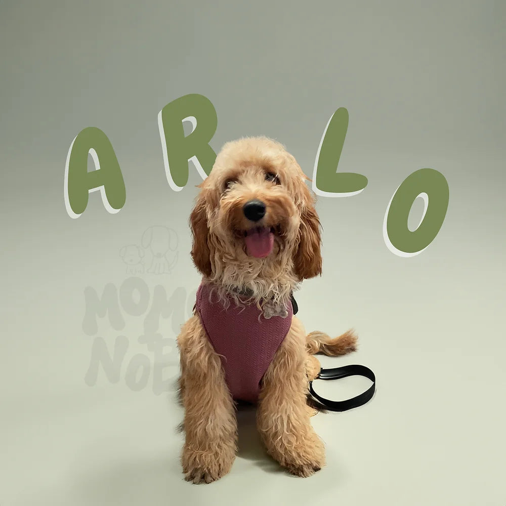 Momo Nobu - Arlo Tank