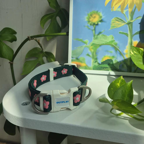 Outplay Flower Collar