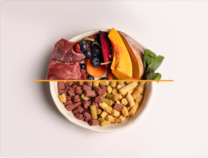 Frez Freeze Dried Pork Blueberry Goji