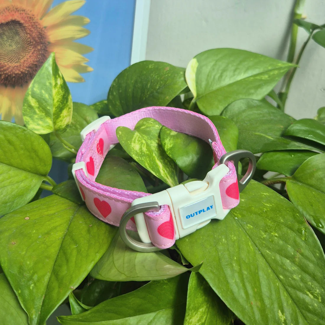 Outplay Heart Collar