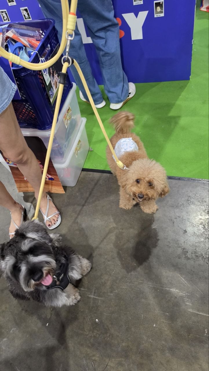 Outplay Multi-way Convertible Leash Extension