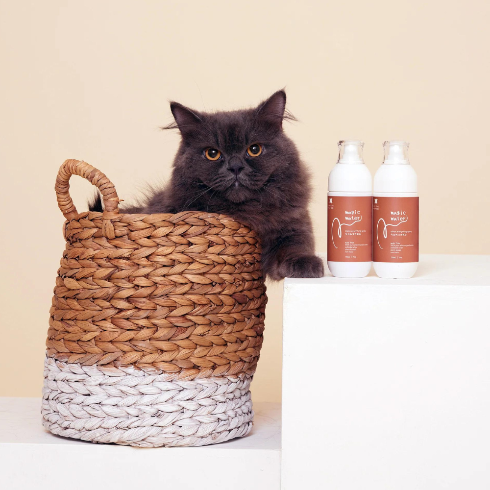 A Pet Story - Magic Water Clean Everything Spray