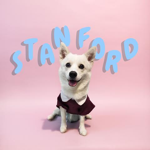 Momo Nobu - Stanford