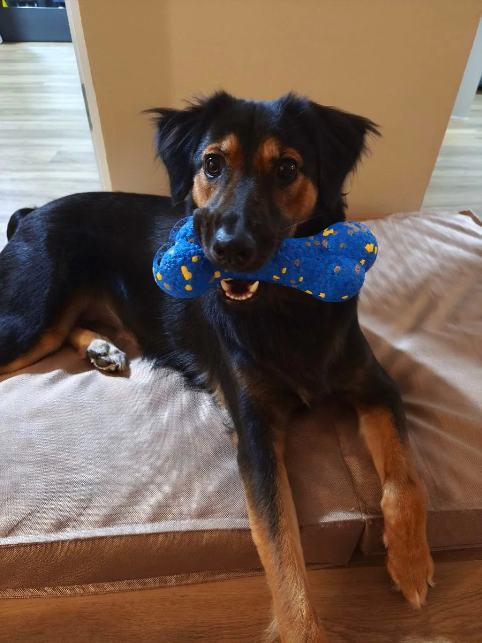 Outplay Ultraflex Bone Large